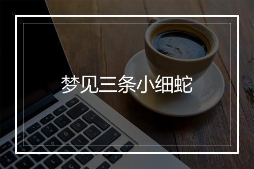 梦见三条小细蛇