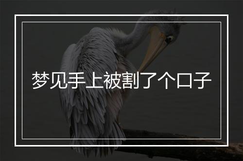 梦见手上被割了个口子