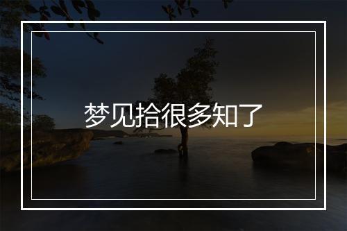 梦见拾很多知了