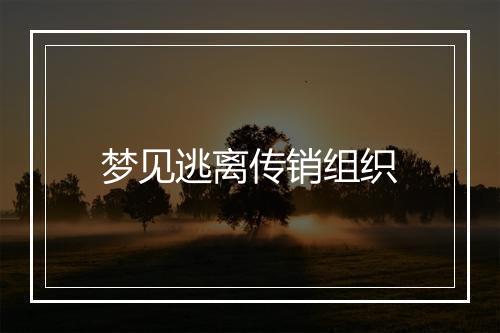 梦见逃离传销组织