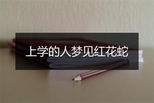 上学的人梦见红花蛇