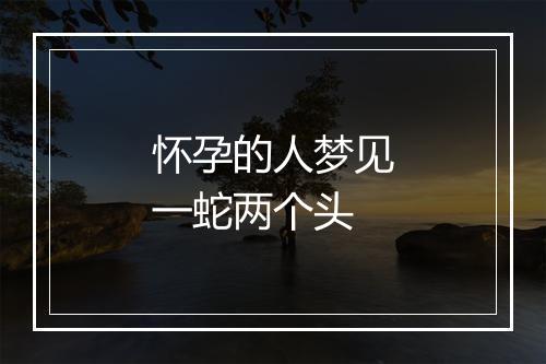 怀孕的人梦见一蛇两个头