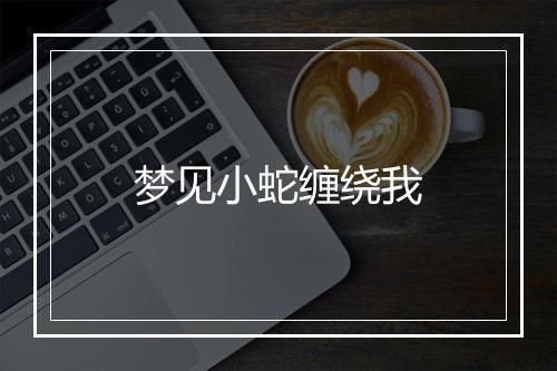 梦见小蛇缠绕我