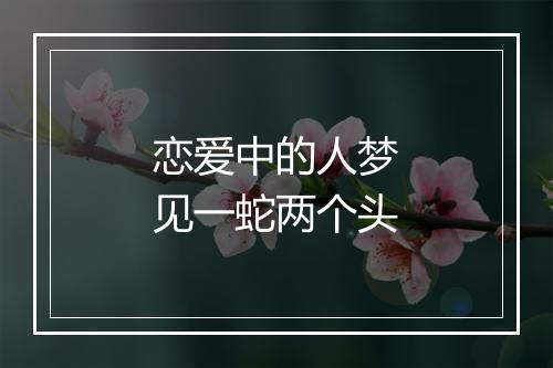 恋爱中的人梦见一蛇两个头