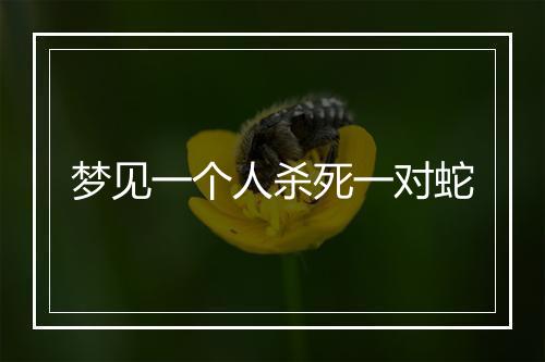 梦见一个人杀死一对蛇