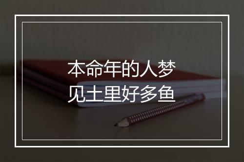 本命年的人梦见土里好多鱼