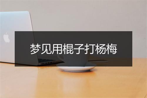 梦见用棍子打杨梅