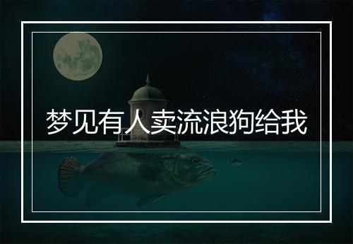 梦见有人卖流浪狗给我