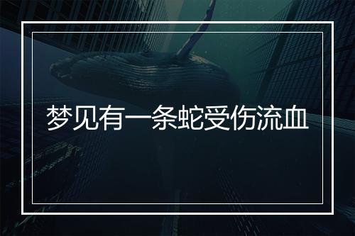 梦见有一条蛇受伤流血