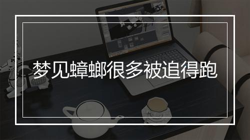 梦见蟑螂很多被追得跑