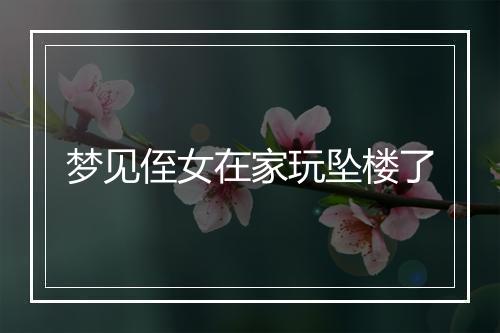 梦见侄女在家玩坠楼了