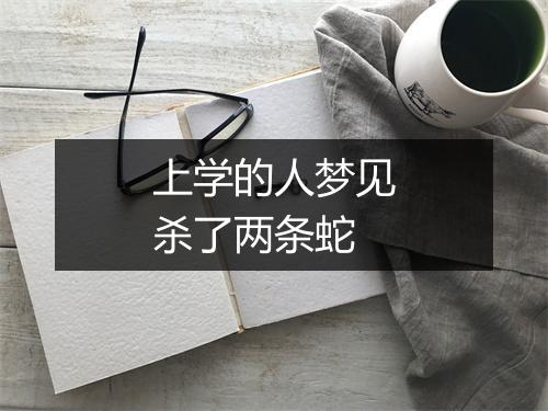 上学的人梦见杀了两条蛇