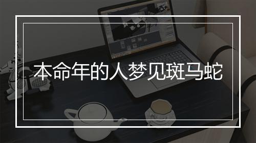 本命年的人梦见斑马蛇