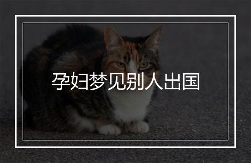 孕妇梦见别人出国