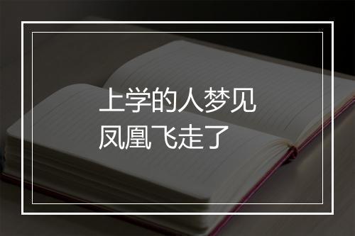 上学的人梦见凤凰飞走了