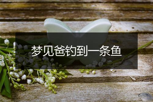 梦见爸钓到一条鱼