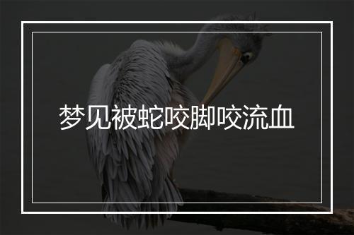 梦见被蛇咬脚咬流血