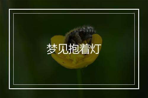 梦见抱着灯