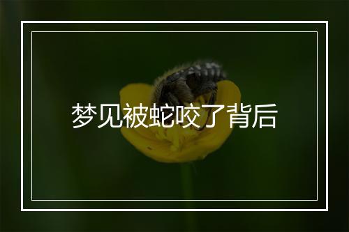 梦见被蛇咬了背后