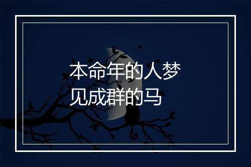 本命年的人梦见成群的马