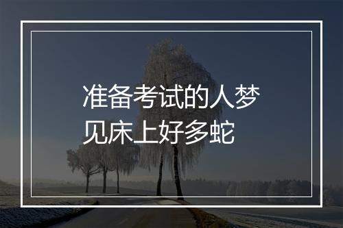 准备考试的人梦见床上好多蛇