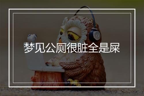 梦见公厕很脏全是屎