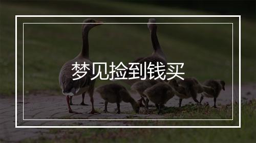 梦见捡到钱买