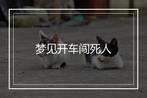 梦见开车闯死人