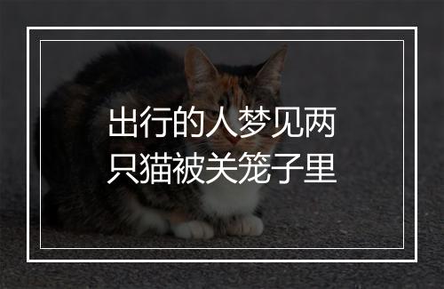 出行的人梦见两只猫被关笼子里