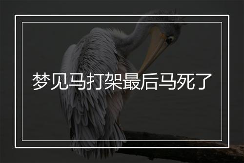 梦见马打架最后马死了