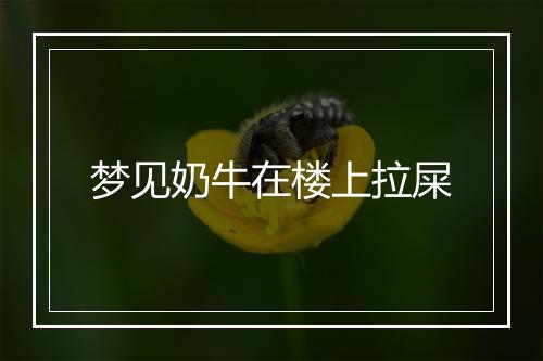 梦见奶牛在楼上拉屎