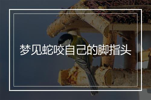 梦见蛇咬自己的脚指头