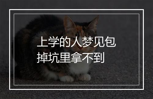 上学的人梦见包掉坑里拿不到