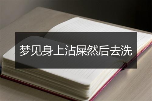 梦见身上沾屎然后去洗