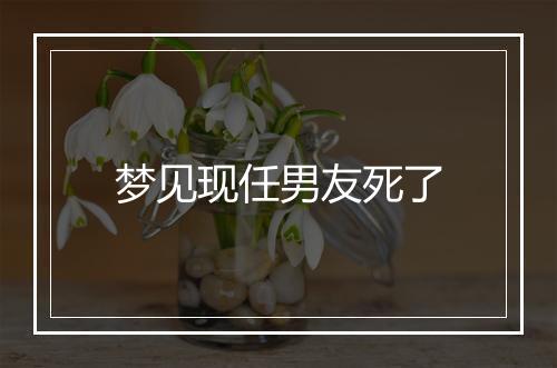 梦见现任男友死了