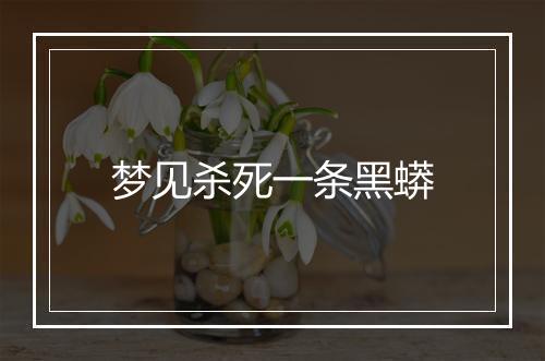 梦见杀死一条黑蟒