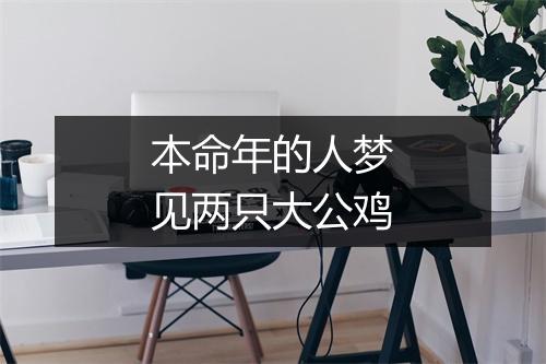 本命年的人梦见两只大公鸡