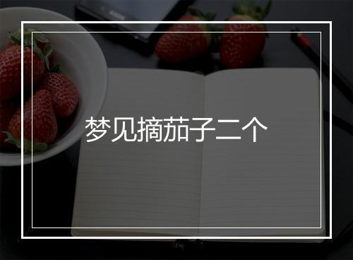 梦见摘茄子二个