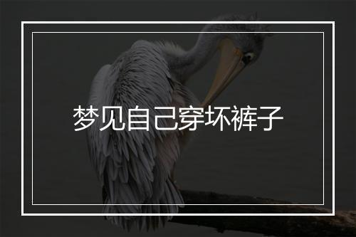 梦见自己穿坏裤子