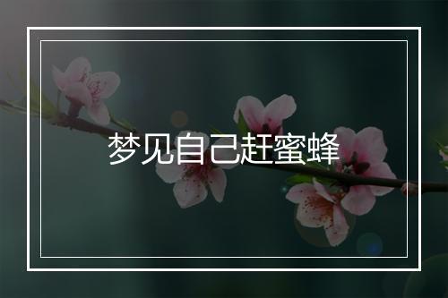 梦见自己赶蜜蜂