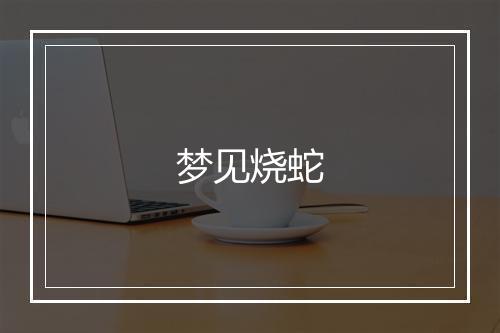 梦见烧蛇