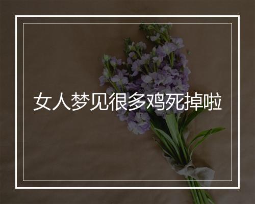 女人梦见很多鸡死掉啦