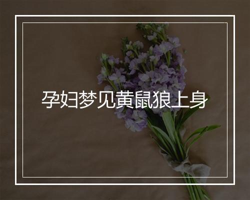 孕妇梦见黄鼠狼上身