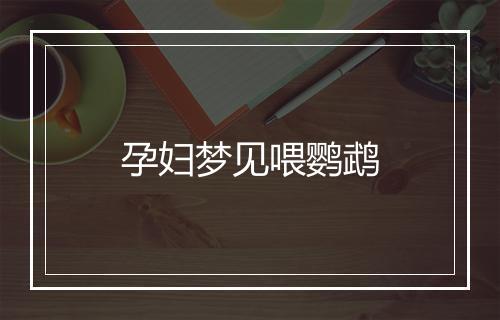 孕妇梦见喂鹦鹉