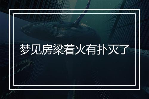 梦见房梁着火有扑灭了