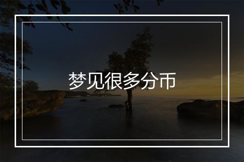 梦见很多分币