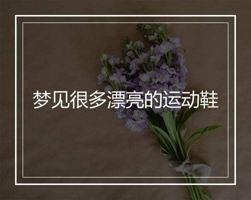 梦见很多漂亮的运动鞋