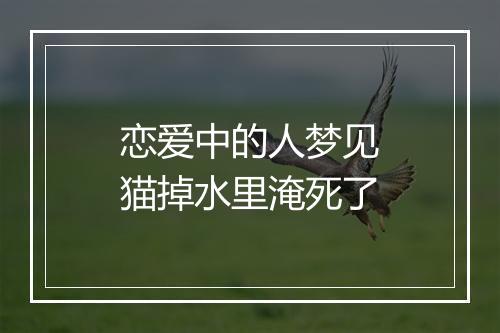 恋爱中的人梦见猫掉水里淹死了