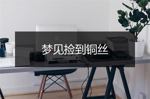 梦见捡到铜丝