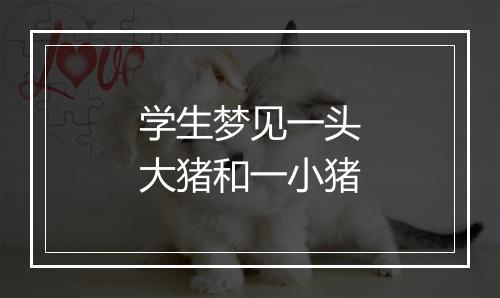 学生梦见一头大猪和一小猪